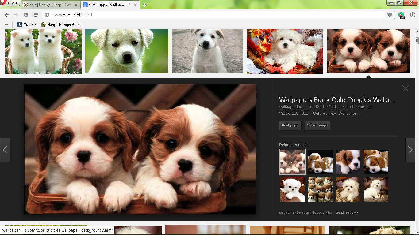 bestbrowser p4.png