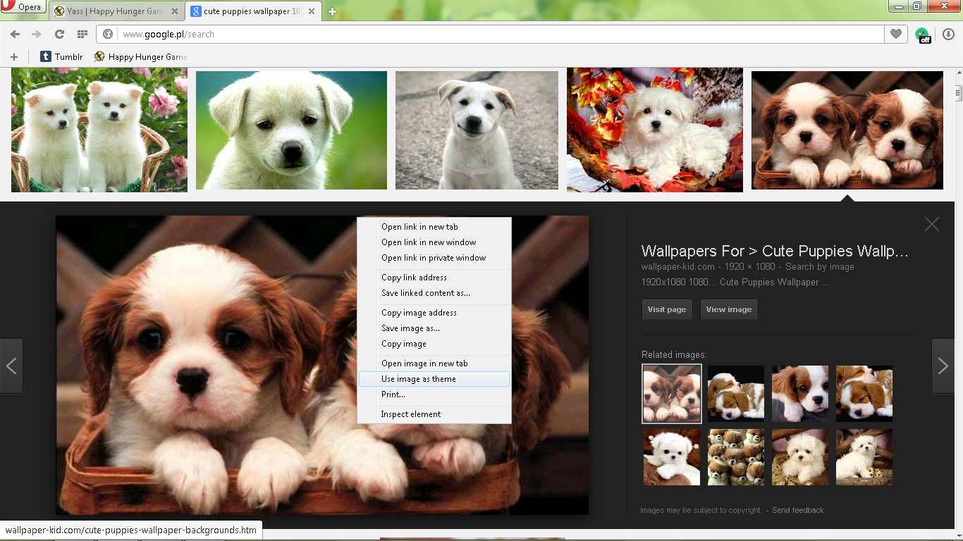 bestbrowser p5.png
