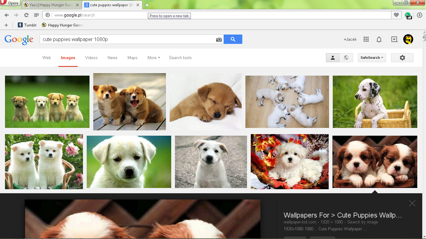 bestbrowser p6.png