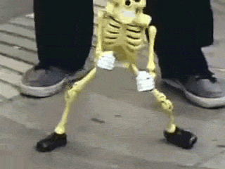 giphy.gif