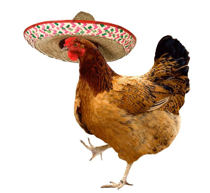 reallifeelpollo.gif