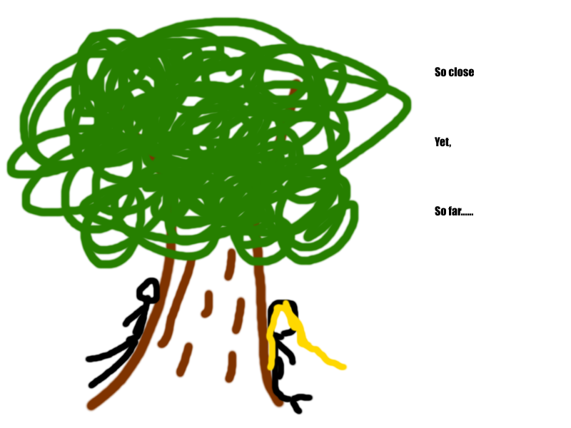 Untitled (1).png