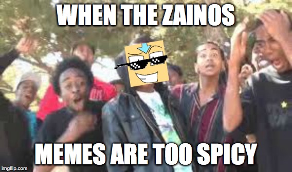 zaun.jpg