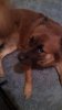 IMG_20160312_192615_368.jpg