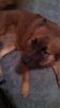 IMG_20160312_192615_964.jpg