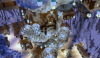 2016-08-11_16.25.40.png