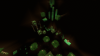 2016-10-23_13.12.32.png