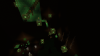 2016-10-23_13.13.51.png