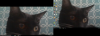 Capture.PNG