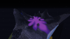 2018-05-05_19.51.28.png