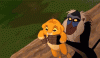 anigif_enhanced-buzz-22799-1405693809-7.gif