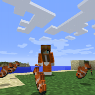 MC_orangekitty