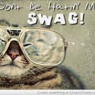 KatSwagger_LOL