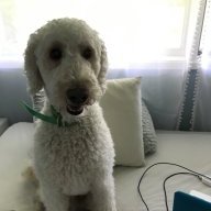 HelloImCooper