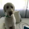 HelloImCooper